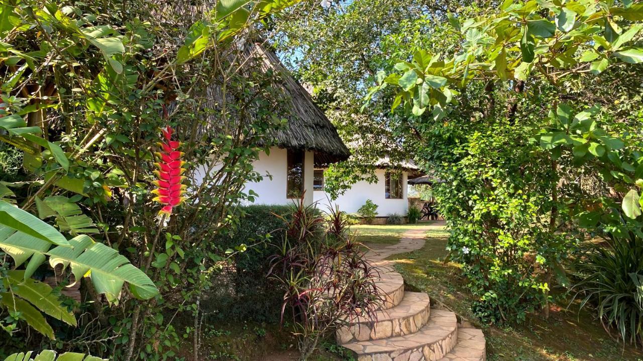Banda Lodge Masaka Extérieur photo