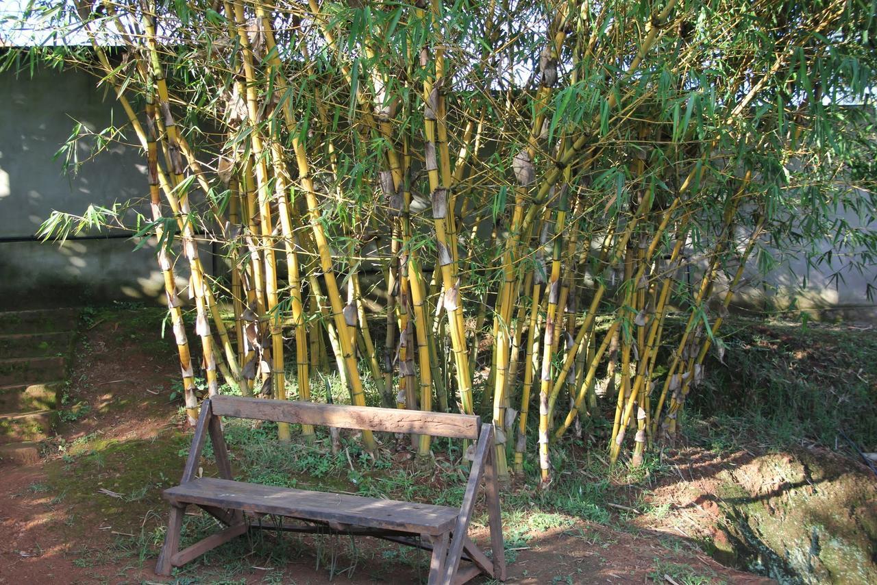Banda Lodge Masaka Extérieur photo